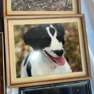 Huge Lot of Vintage Photo Frames Lot #1