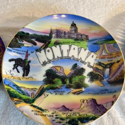 Large Lot of Decorative/Commemorative Vintage/Antique Plates