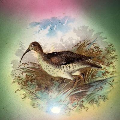 Large Lot of Decorative/Commemorative Vintage/Antique Plates