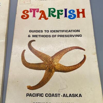Lot of Three Ocean Sea Life Starfish Coral Reef Kids Childrens Reference Books