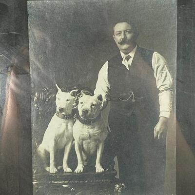 Framed Victorian Era Man with his Two White Bull Terrier Dogs Photograph