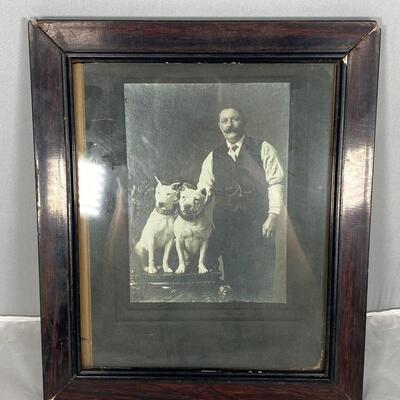 Framed Victorian Era Man with his Two White Bull Terrier Dogs Photograph