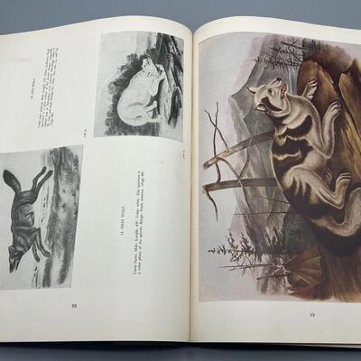 Vintage Audubon Animals Quadrupeds of North America Collectible Animal Reference Book