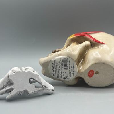 Spooky Skeleton Halloween Meditating Praying Figurine & Airplant Fire Skull