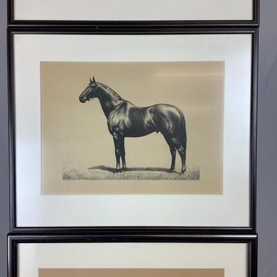 841  Three Clarance William Anderson Horse Prints Museum Matted