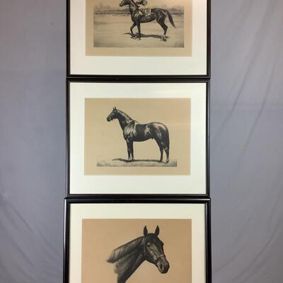 841  Three Clarance William Anderson Horse Prints Museum Matted
