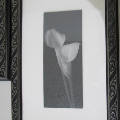 #64 Set of 4 pictures of lillies 