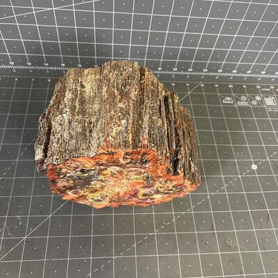 Petrified Wood Log , Cool Rock Red 