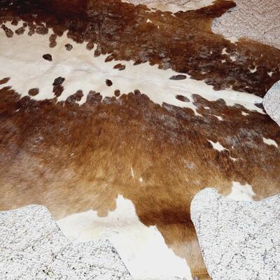 BEAUTIFUL PRESERVED COW HIDE