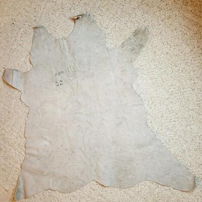 BEAUTIFUL PRESERVED COW HIDE