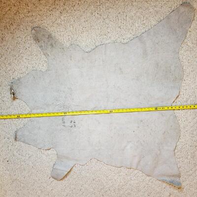 BEAUTIFUL PRESERVED COW HIDE