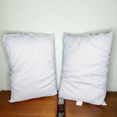 LARGE BLUE & WHITE PILLOW SHAMS W/ PILLOWS
