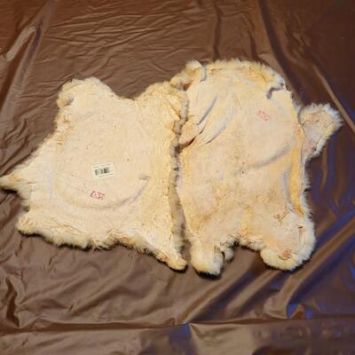 DYED RABBIT FUR 2 PC
