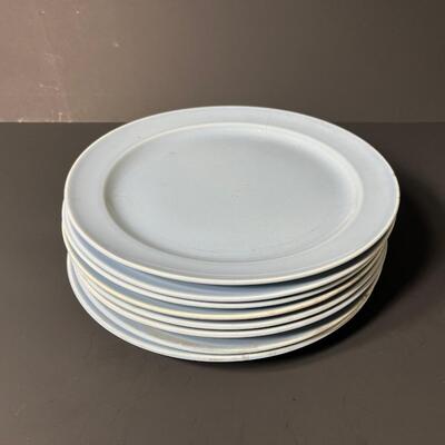 LOT 33J: Blue LuRay Vintage Pastels Dinner Plates (8)