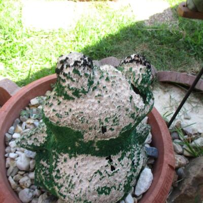 Yard Decor