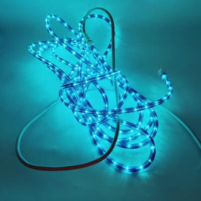 ROPE LIGHT BUNDLE