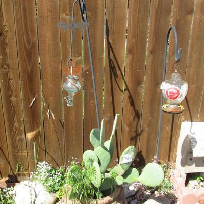 Cactus & Decor