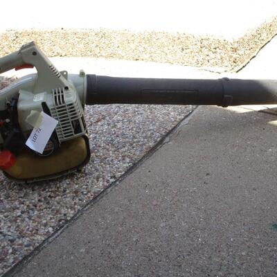 Echo Gas Blower
