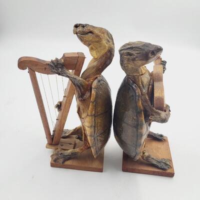 TAXIDERMY MUSICAL TURTLE BOOK ENDS