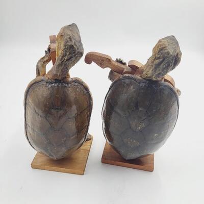 TAXIDERMY MUSICAL TURTLE BOOK ENDS