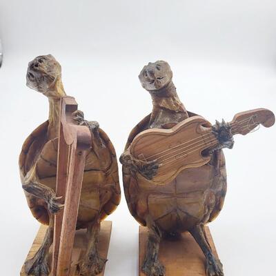 TAXIDERMY MUSICAL TURTLE BOOK ENDS