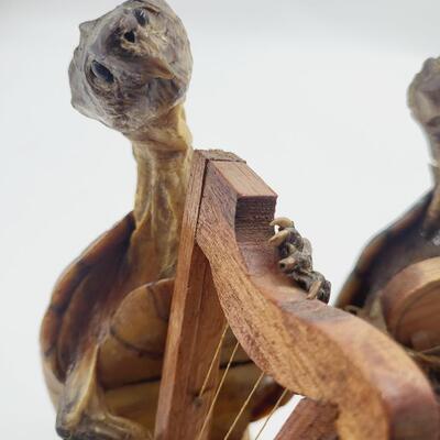 TAXIDERMY MUSICAL TURTLE BOOK ENDS
