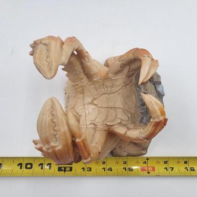 NEAT CRAB LIQUIOR BOTTLE HOLDER
