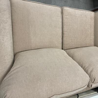 D33- Loveseat with 2 pillows