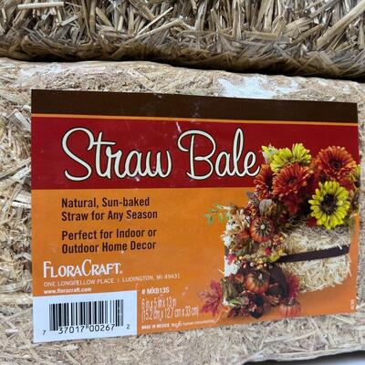 Set of 4 Unopened Small Craft Straw Hay Bales