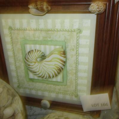 Seashell Decor