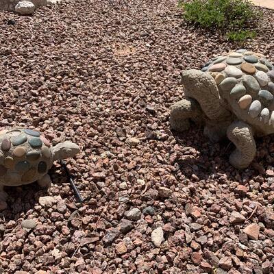 Two River Rock Tortoises outdoor