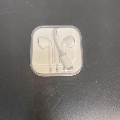 Apple Ear Pods with Lightning Plug