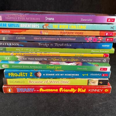 Lot 47 Kid's Books