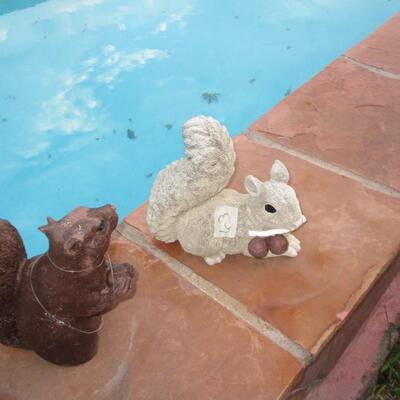 Outdoor Decor-Squirrels