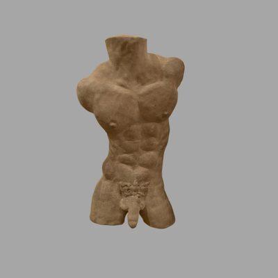 Erotic Male Torso Bust - 14"