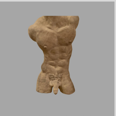 Erotic Male Torso Bust - 14"