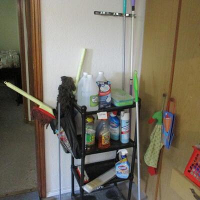 Cleaning Supplies and Plastic Shelf