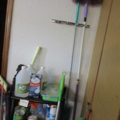 Cleaning Supplies and Plastic Shelf