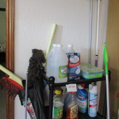 Cleaning Supplies and Plastic Shelf