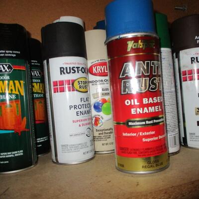 Paint Sprays/Misc
