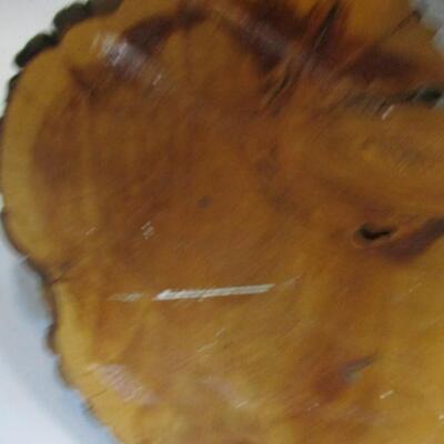 Painted Wold on Petrified Wood