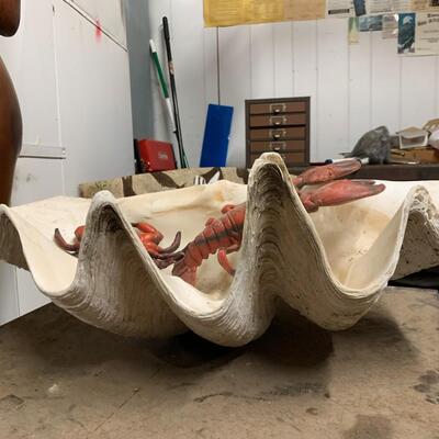 Very large Clam Shell