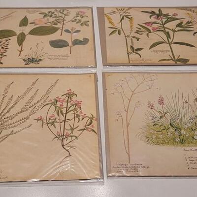 Lot 64: (4) Antique 1870's VICTORIAN Flower Prints by Henry Terry