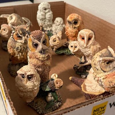 U30-â€œThe Hamilton Collectionâ€ Owls