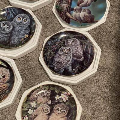 U38-Decorative Owl Plates