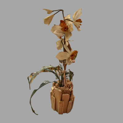 Artificial Plant in Wood Base