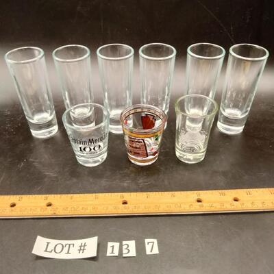 137 - shot glass lot