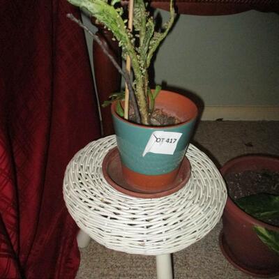 Wicker Plant Stand/Real Plants
