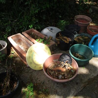 Flower Pots, Water Jugs