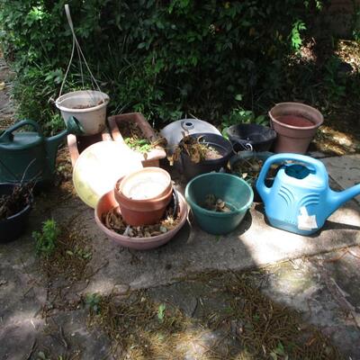 Flower Pots, Water Jugs